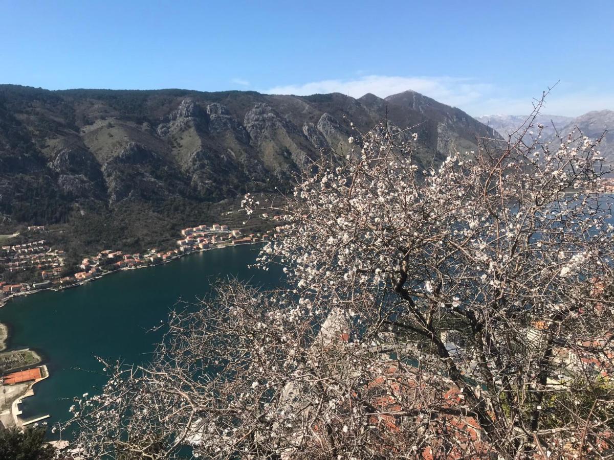 Romantic Rooftop View Hideaway- Old Town Nr 404 Kotor Luaran gambar
